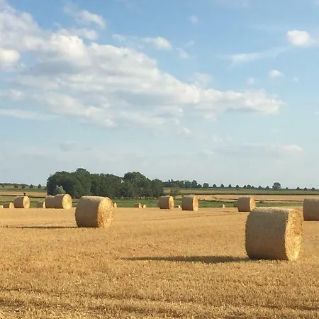 Lindenhof 3, Dachgeschoss Lägenhet Vipperow