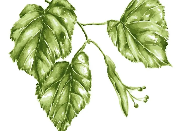 Lindenhof 3, Dachgeschoss Appartement Vipperow