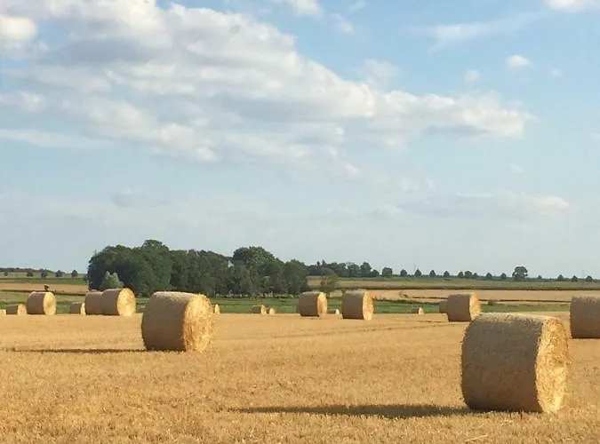 Lindenhof 3, Dachgeschoss Appartement Vipperow