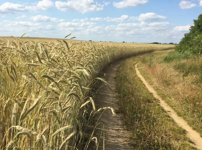 Lindenhof 3, Dachgeschoss * Vipperow